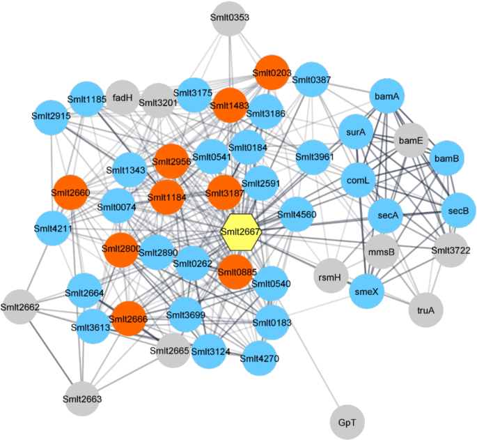 protein_network_transparent