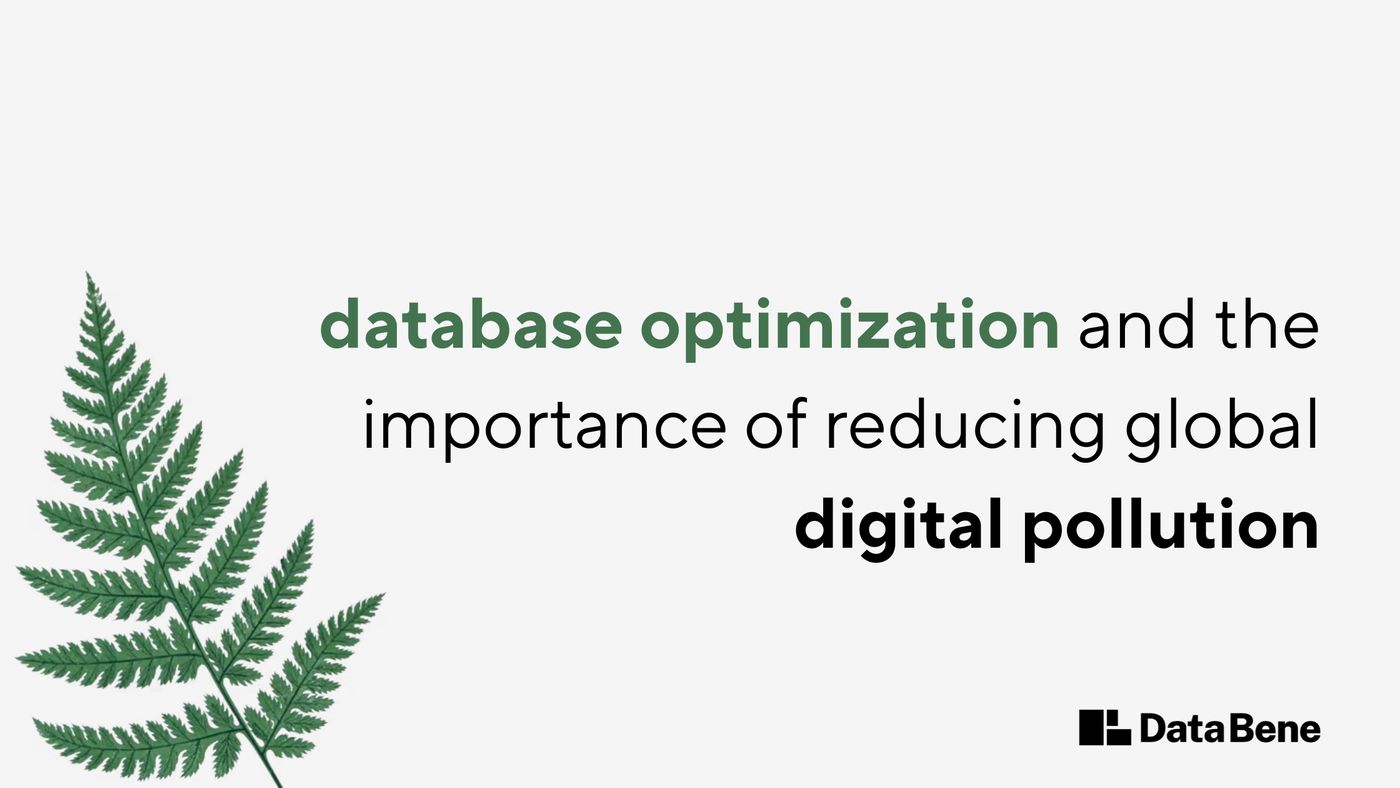 The title of the blog, 'Database optimization and the importance of reducing global digital pollution', accompanied by a picture of a fern and the Data Bene logo.
