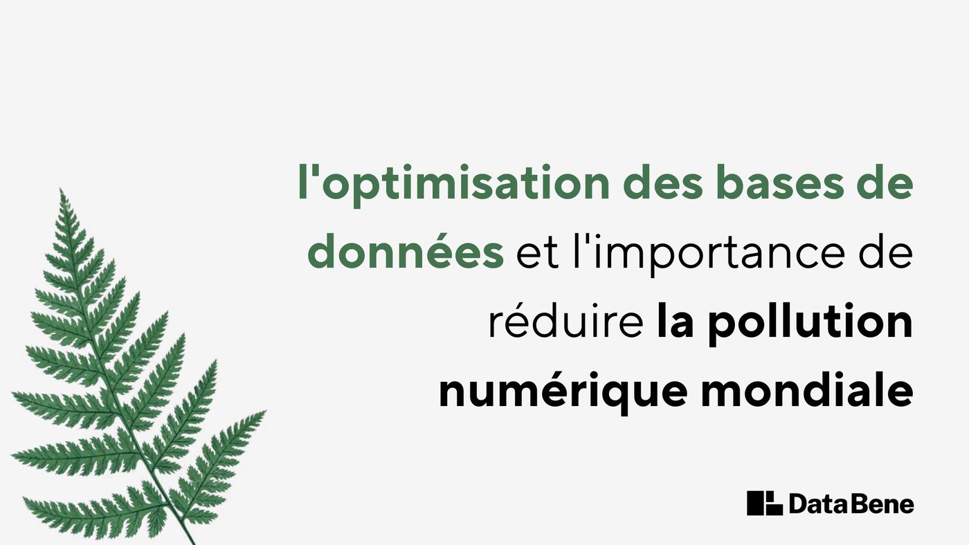 Le titre du blog, 'L'optimisation des bases de données et l'importance de réduire la pollution numérique mondiale', accompagné d'une image de fougère et du logo Data Bene.